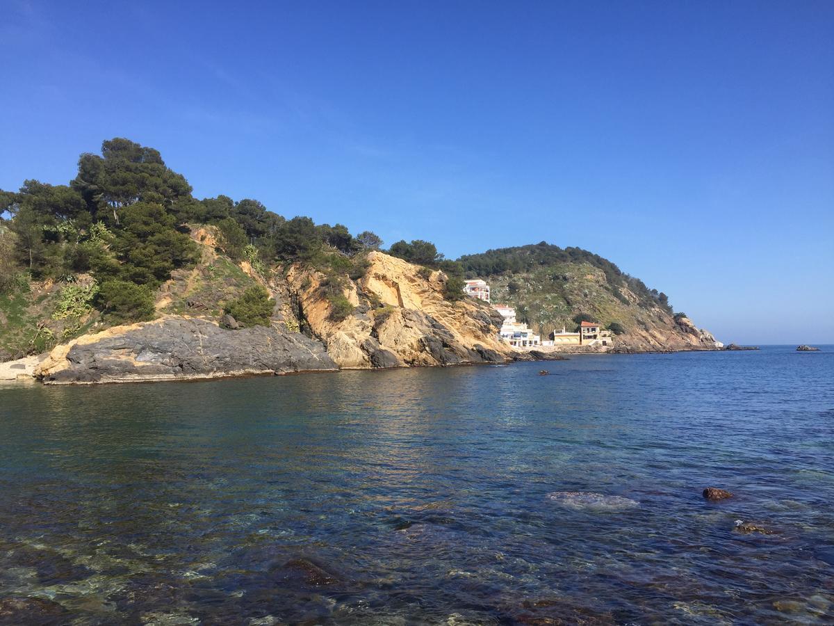 Apartaments Ample Port Marina Palamós Eksteriør bilde